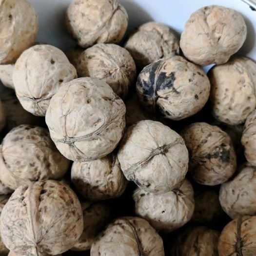 汾阳市 山西汾阳礼品薄皮核桃32到34之间