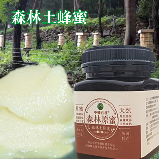 郑州土蜂蜜 养蜂基地自产自销