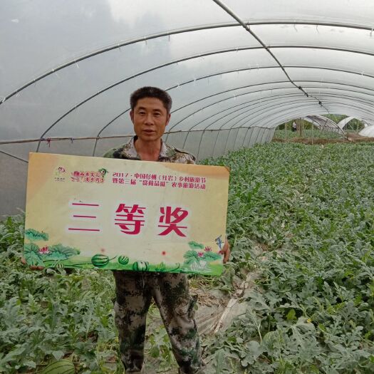 彭州市红岩美都，九成熟，黑籽，