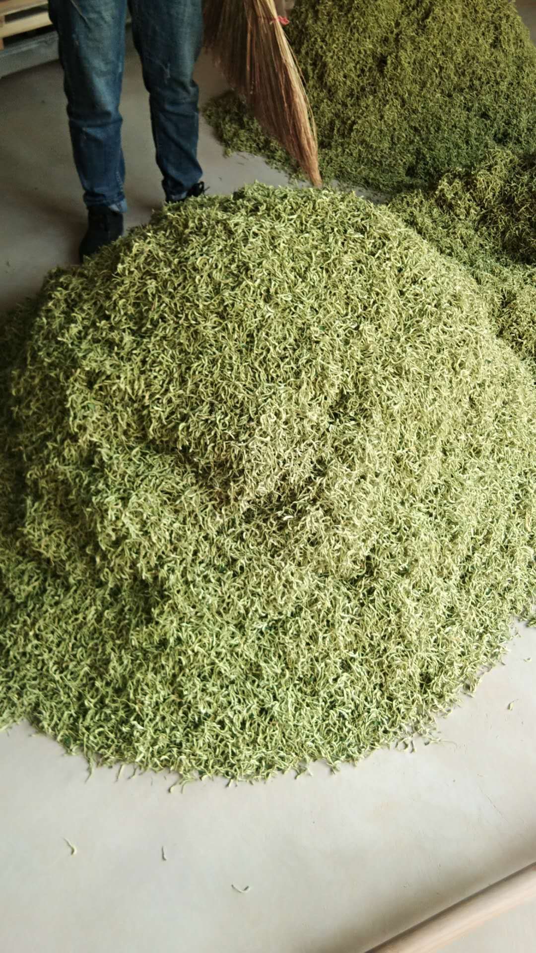 巨鹿县 四季金银花干货
