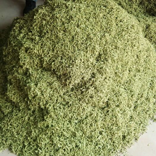 巨鹿县 四季金银花干货