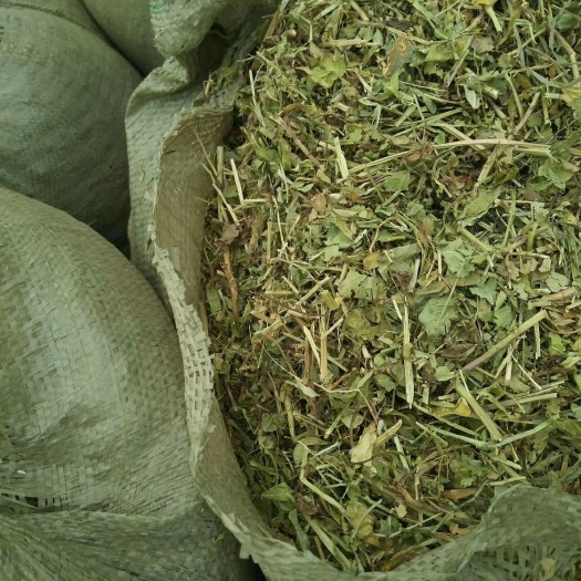唐河县青干草饲料  花生秧、青储玉米、小麦秸秆、玉米秸秆、花生秧草