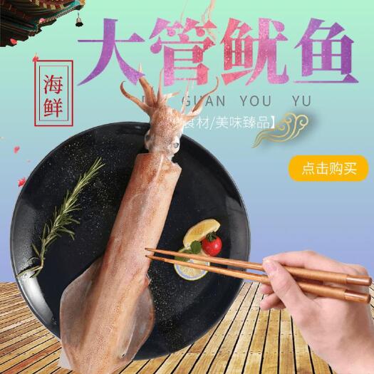 深圳 深海大管鱿鱼优质高档非养殖大鱿鱼