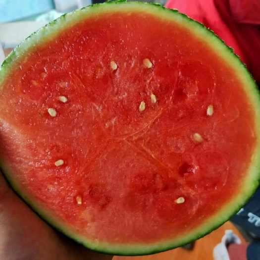 潍坊墨瞳西瓜大量有货