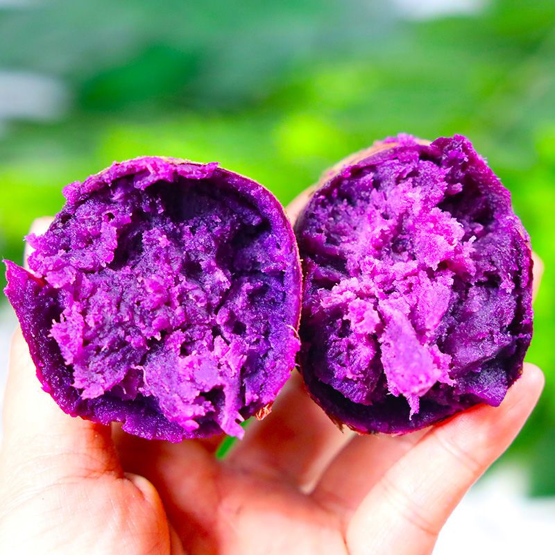 【香甜粉糯】沙地紫薯新鲜番薯板栗红薯地瓜蜜薯蔬菜批发包邮