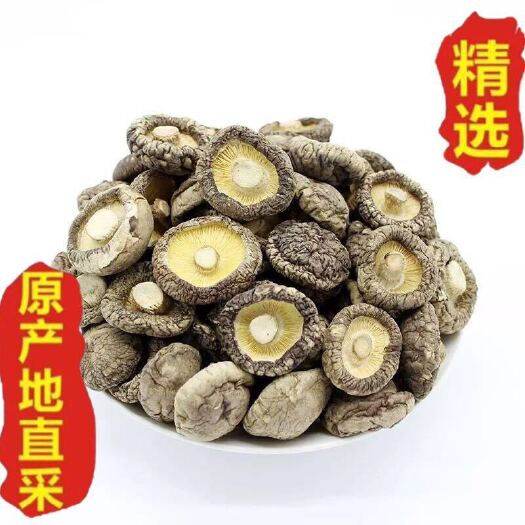 广州普通香菇  新鲜香菇农家级蘑菇冬菇花菇跑江湖展会地摊深山干