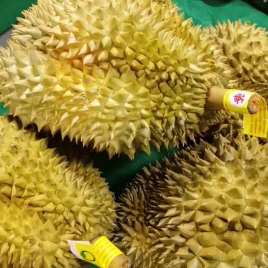 徐州 泰国金枕榴莲一级果，果肉香甜糯