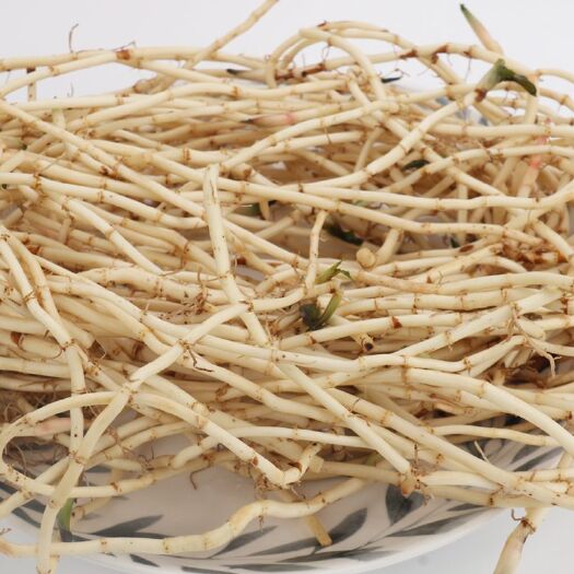 天柱县野生鱼腥草 ，折耳根