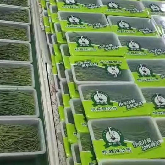 高品质鲜沙葱，专为全国各大商家定制款
