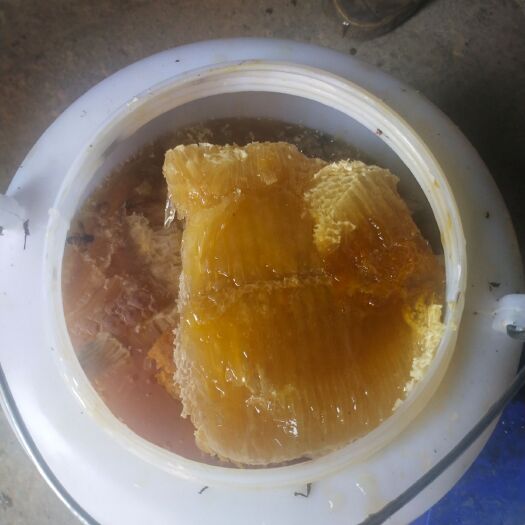 百色 销售季节性纯野蜂蜜
