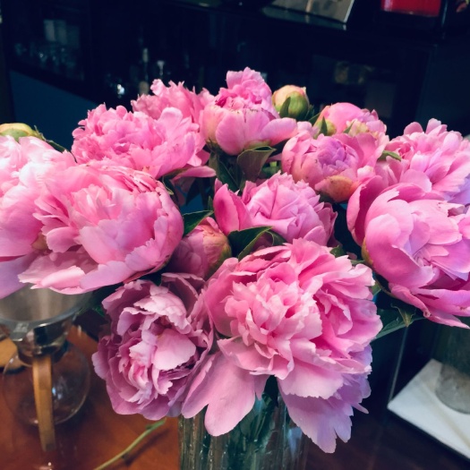 菏泽多花芍药  桃花飞雪  观赏芍药 香味浓郁 花型美观 精品芍药