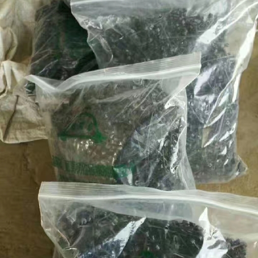 洛阳绑蔓夹 葡萄树，猕猴桃用绑枝卡