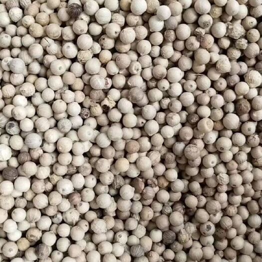玉林供应各种无硫足干白胡椒，价格实惠，质量稳定