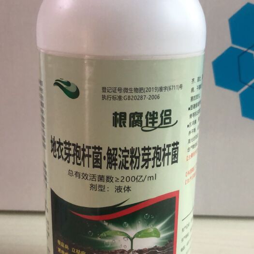 滑县芽孢杆菌 根腐伴侣