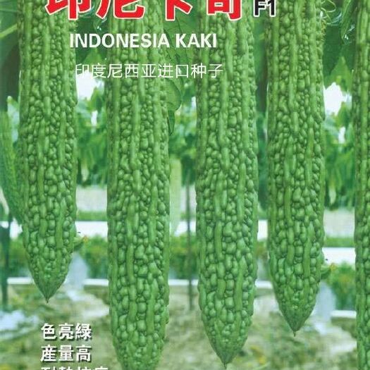 扶沟县绿苦瓜种子 印尼卡奇F1~品种果型棒状型高抗病早熟单果9