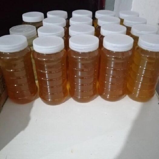 贞丰县 天然土蜂蜜水