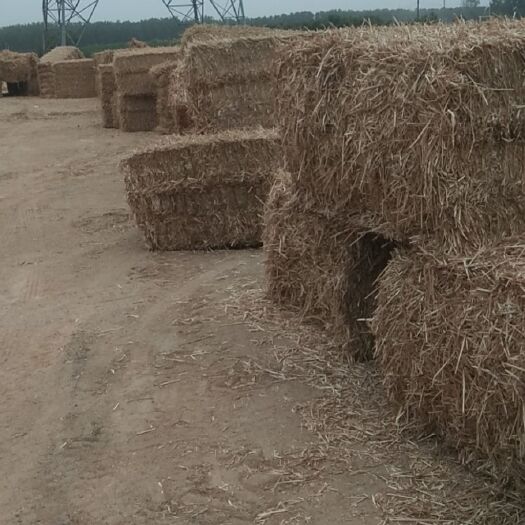 汝南县优质小麦秸秆