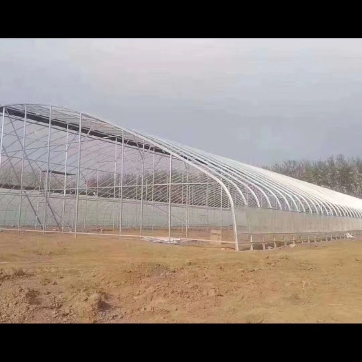 东光县热镀锌蔬菜大棚 大棚种植养殖
