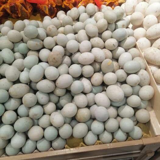 开封各类鸭蛋 10个一斤