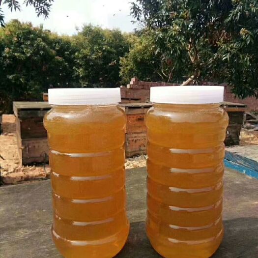 湛江意蜂蜂蜜 ，自产自销，