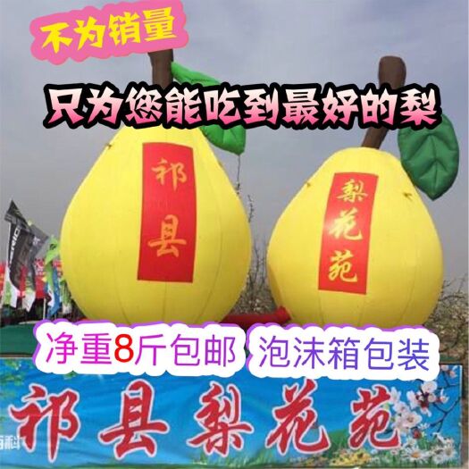 山西特产《祁县酥梨》