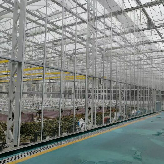天津连栋棚  智能温室  玻璃温室  连栋薄膜棚