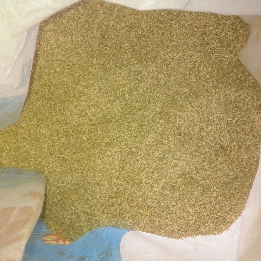 渭南 正宗陕西荠荠菜种子，当年新种子