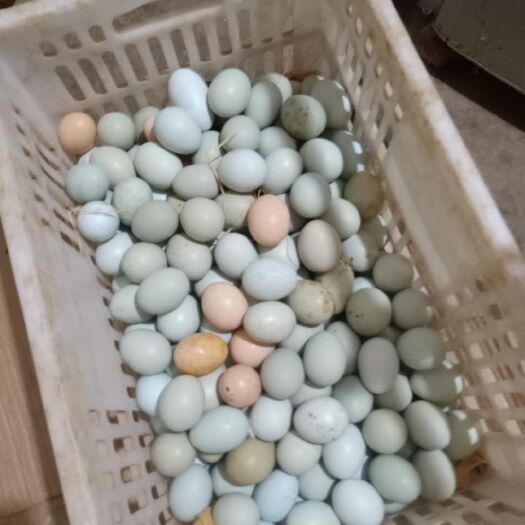 京山市土鸡蛋 自家散养保证质量保证新鲜