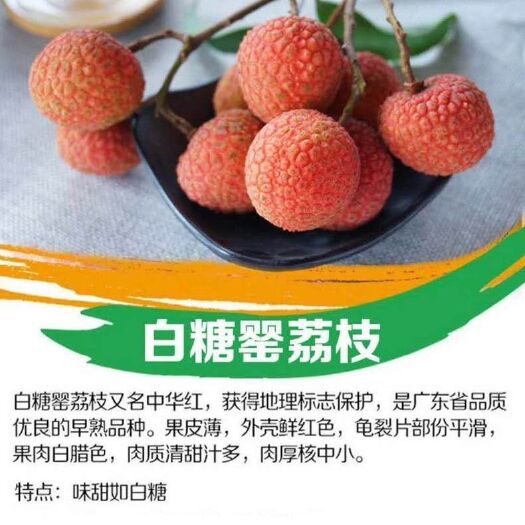 廉江市 白糖罂荔枝安徽空运