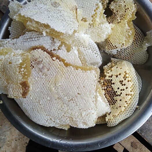 孟连县百花蜜 2年以上 42