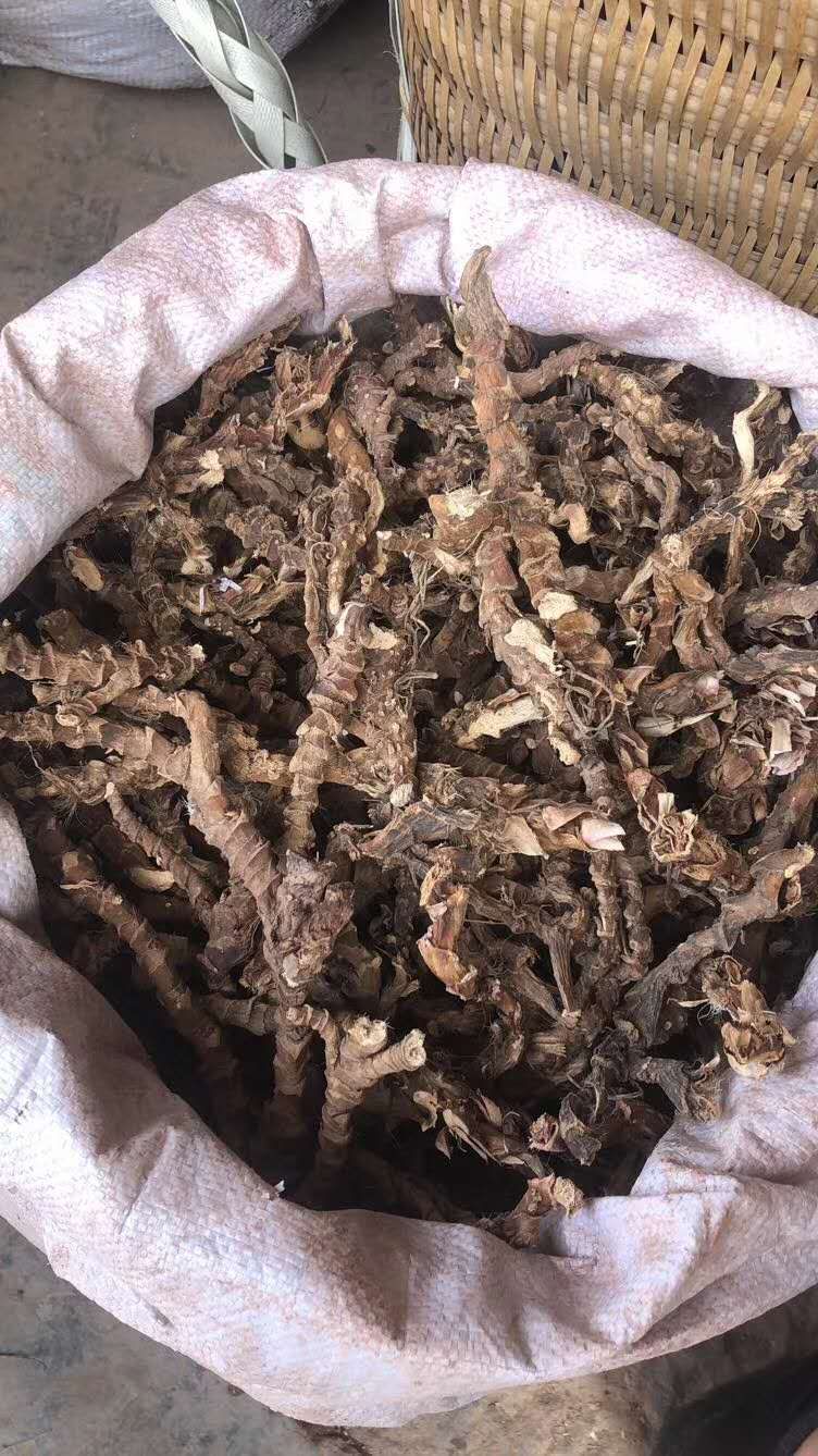 石菖蒲，水菖蒲，粉质多。