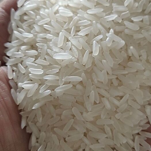 监利市晚香虾稻米