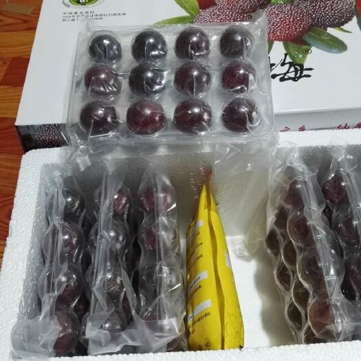仙居县 仙居东魁杨梅新鲜现摘现发孕妇礼品农家时令水果4.5斤顺丰直达