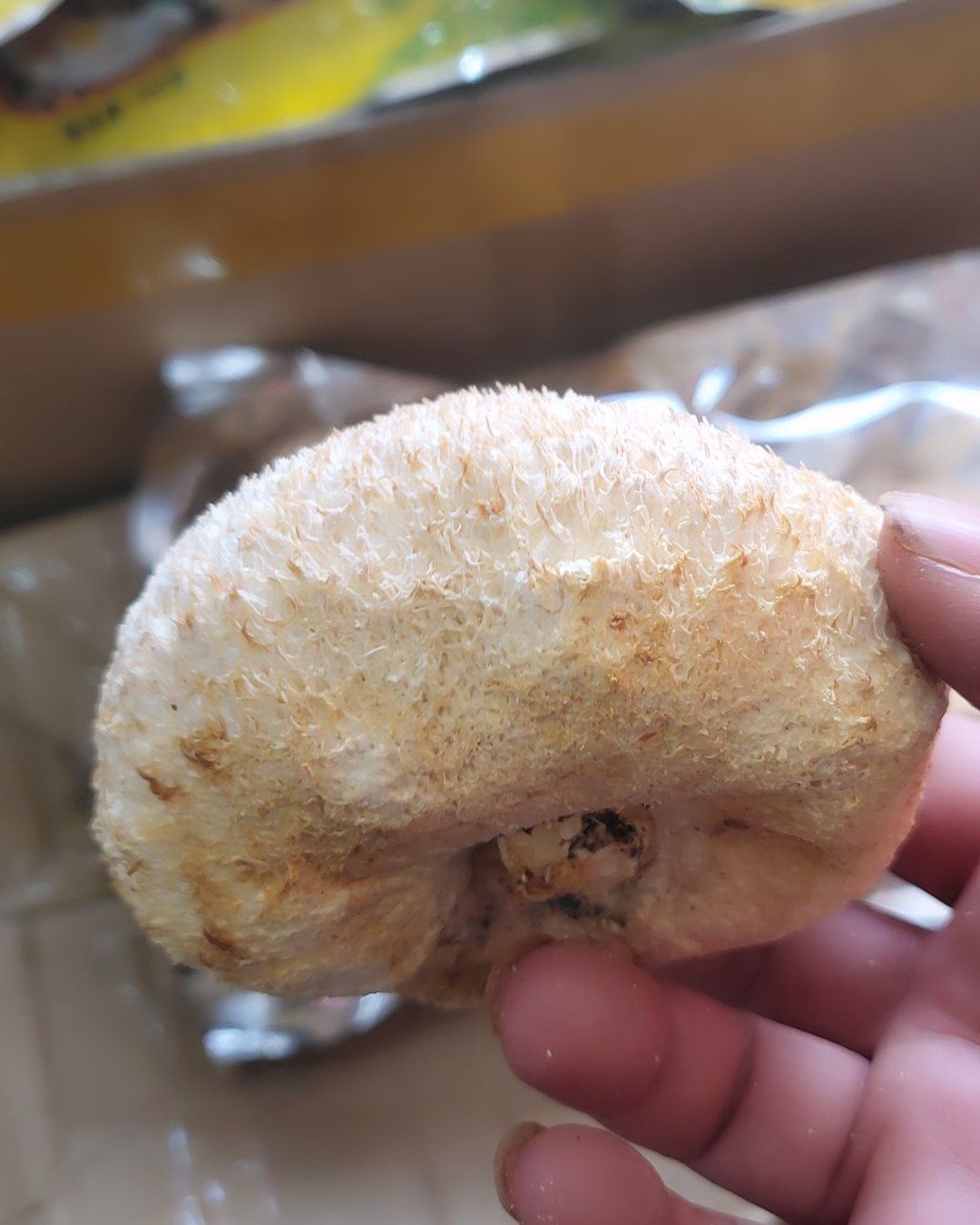 精品 宁德古田猴头菇 产地直发 批发