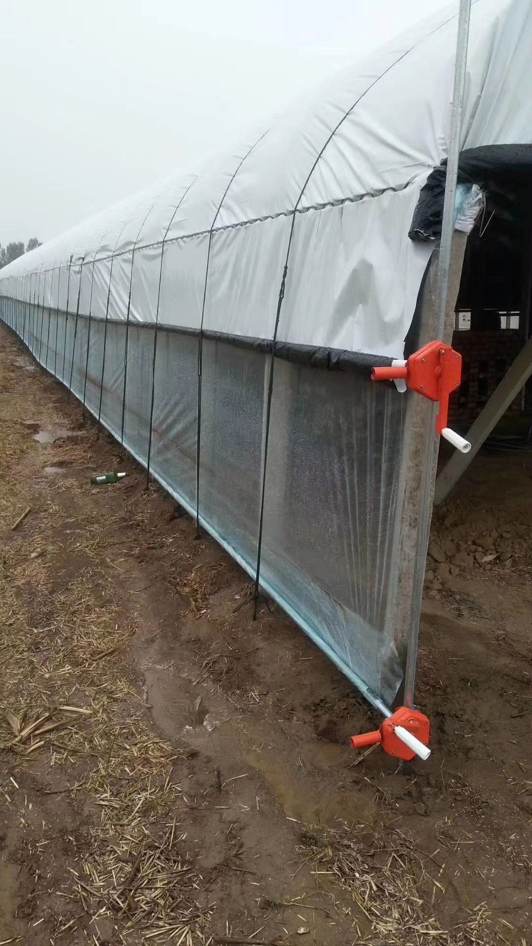 镀锌带种植大棚 温室大棚