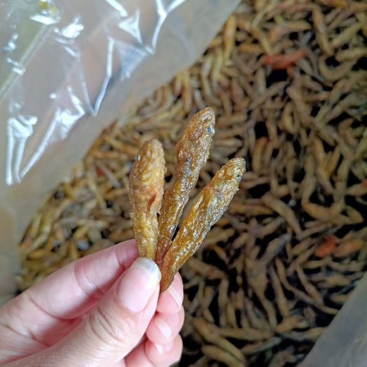 都昌县油炸小黄鱼黄花鱼鱼干水产干货无盐