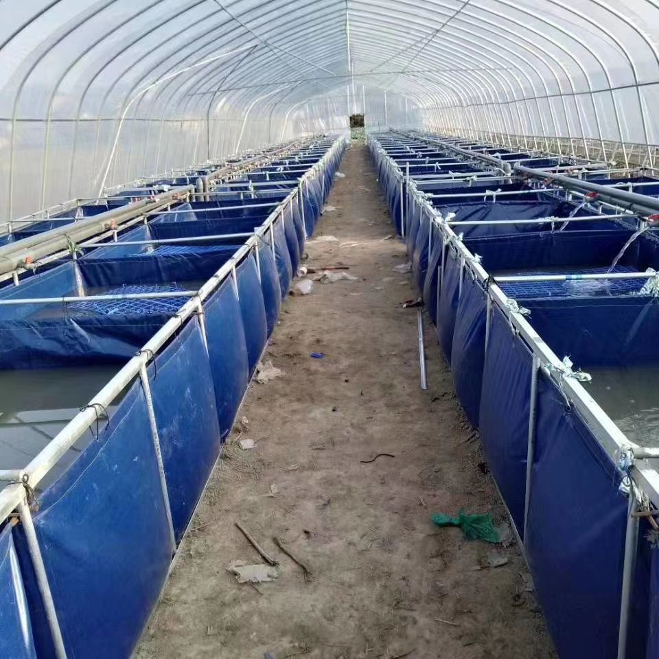 镀锌带种植大棚 温室大棚