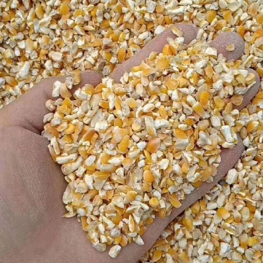 昌黎县苹果渣 大量出售红薯渣豆渣