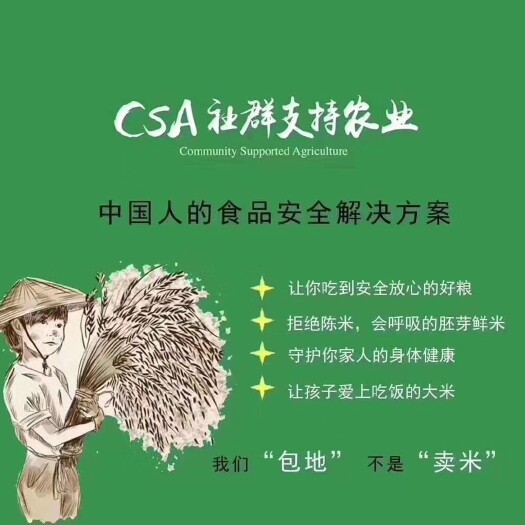 哈尔滨东北大米 一等品 一季稻 粳米