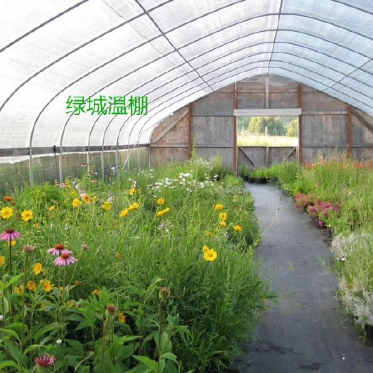沭阳县 成套大棚热镀锌蔬菜大棚塑料薄膜大棚