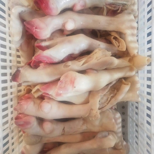 亳州羊蹄 一手货源，，价格超低，有需要的老板前来咨询，