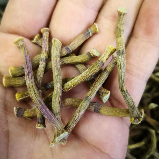 昆明产地直销     铁皮石斛寸金条     各种规格都有