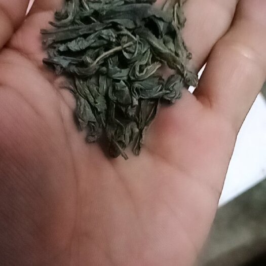 博罗县 家乡绿茶，口感纯正，口甘，天然香。