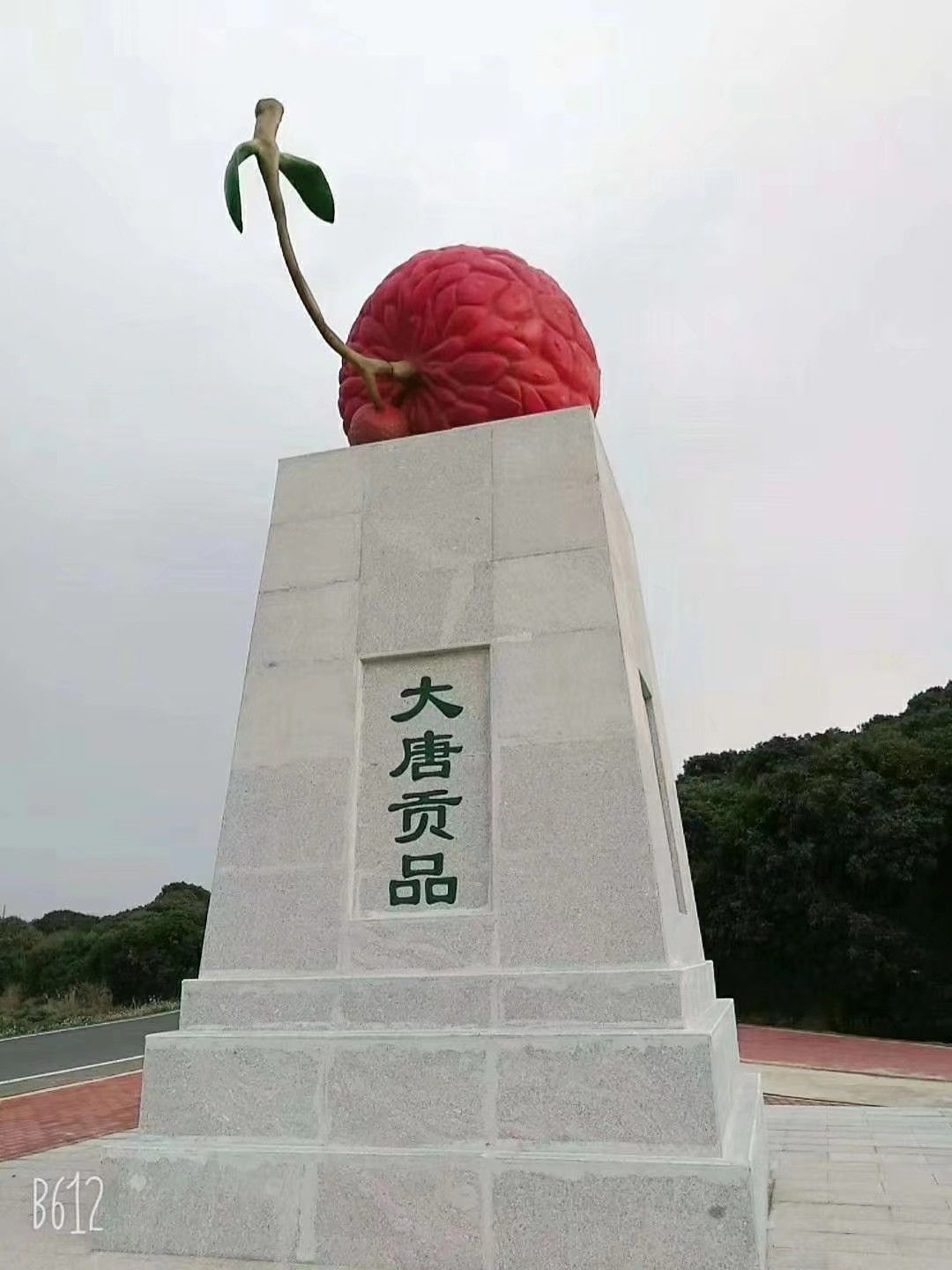 荔枝 高州贡园白糖罂