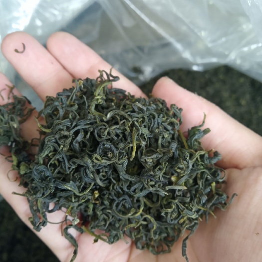 日照日照绿茶 2020年日照露天麦黄茶