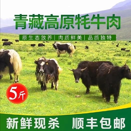 藏族牦牛肉  青海藏牦牛羊肉，高海拔，天然。现价格下调，需要的赶紧购买。