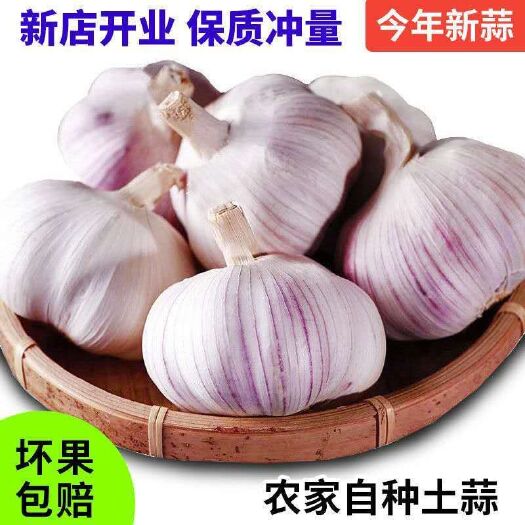 腾冲市 鲜云南紫皮香蒜红皮大蒜干蒜土蒜干蒜批发