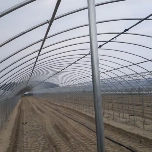 天津蔬菜大棚 适合气候暖和些的地区使用的大棚