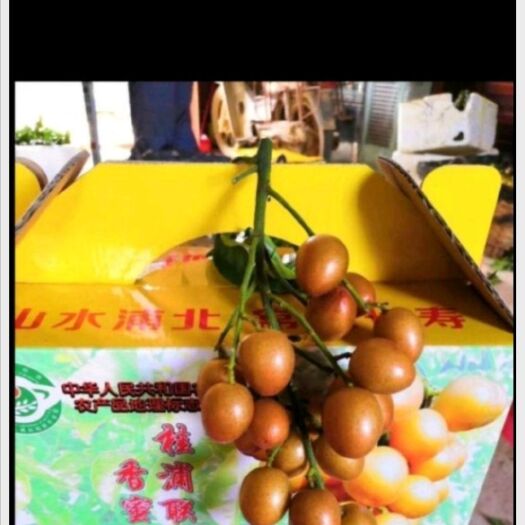 浦北县 桂浦联成香蜜黄皮果，地理标志产品