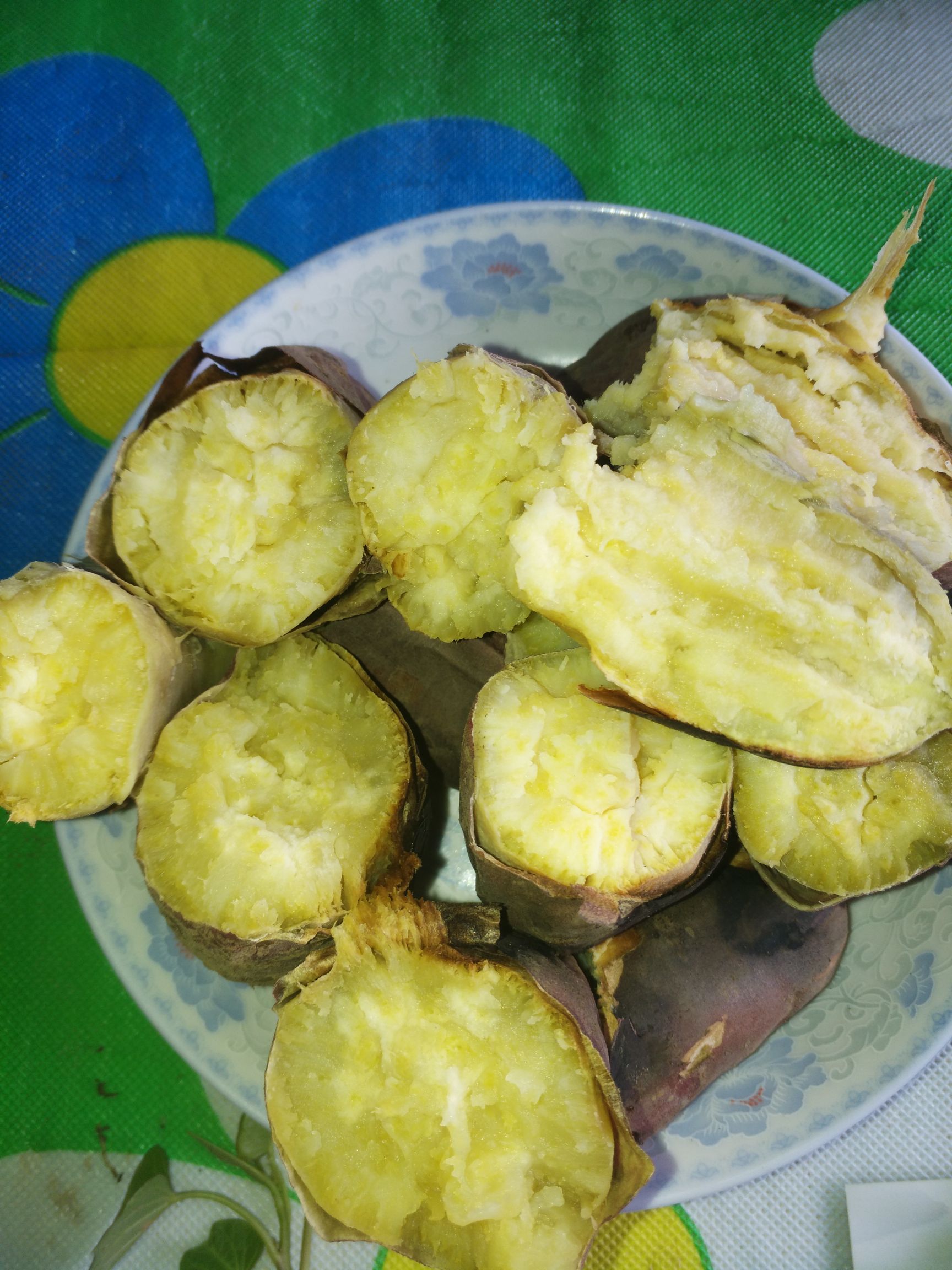 龙薯9号红薯苗 辽宁锦州出售红薯苗，保证质量，多买优惠